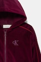 Κοριτσίστικα Παιδική μπλούζα Calvin Klein Jeans IG0IG03088.128.176.PPY2 μπορντό