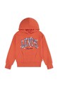 Levi's mikina s kapucňou detská bavlnená LOGO HOODIE oranžová 3EP543