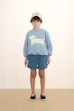 Дитяча бавовняна кофта Tinycottons TINY DOG GRAPHIC SWEATSHIRT бавовна блакитний SS26.158