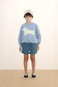 Дитяча бавовняна кофта Tinycottons TINY DOG GRAPHIC SWEATSHIRT бавовна блакитний SS26.158
