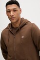 Dickies bluza brązowy DK0A4XD30TB1