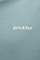 Dickies bluza DK0A889XL371 turkusowy