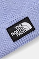Dodatki Kapa The North Face TNF Logo Box NF0A8CHEG741 modra