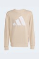 Dječaci Dječja trenirka adidas KE1229 bež
