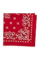 Polo Ralph Lauren COTTON-CLASSIC BANDANA bandană din bumbac bărbătească 449959470003 rosu SS26
