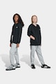 Παιδικό φούτερ adidas Originals απλικέ γκρί KE0452