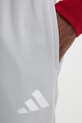 adidas Performance spodnie treningowe Entrada26 szary JZ9139