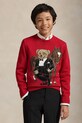 Дитячий бавовняний светр Polo Ralph Lauren візерунок червоний 323A10260001