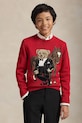 Polo Ralph Lauren sweter bawełniany dziecięcy nadruk czerwony 323A10260001