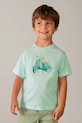 Mayoral t-shirt bawełniany dziecięcy nadruk turkusowy 3059.5C.Mini.PPY2