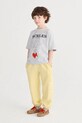 Bobo Choses t-shirt bawełniany dziecięcy Bunch Of Vegetables szary 126AC010