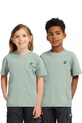 Jack Wolfskin t-shirt dziecięcy bawełniany PRINT T K zielony A65938.164