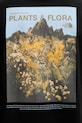 The North Face t-shirt męski bawełniany PLANT & FLORA NF0A8GB3JK31 czarny