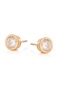 Серебряные серьги с позолотой ANIA KRUK Glamour серебро золотой SMVKS0500Z