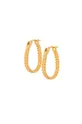 золотий Срібні сережки з позолотою ANIA KRUK Trendy Жіночий