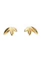 χρυσαφί Επιχρυσωμένα σκουλαρίκια ANIA KRUK HIPPIE Γυναικεία