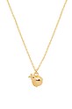 Серебряное колье с позолотой ANIA KRUK BELIEVE позолота золотой SAKNS2410Z