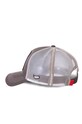 Akcesoria Capslab - Czapka LOONEY TUNES CL.LOO2.1.TVG2 fioletowy