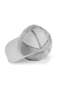 Capslab sapca LOONEY CL.LOO4.1.BUG1 gri