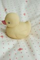 Fanga Fontana zabawka do kąpieli DUCK BATH TOY żółty FA100069