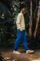 WALK IN THE JUNGLE