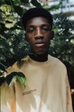 WALK IN THE JUNGLE