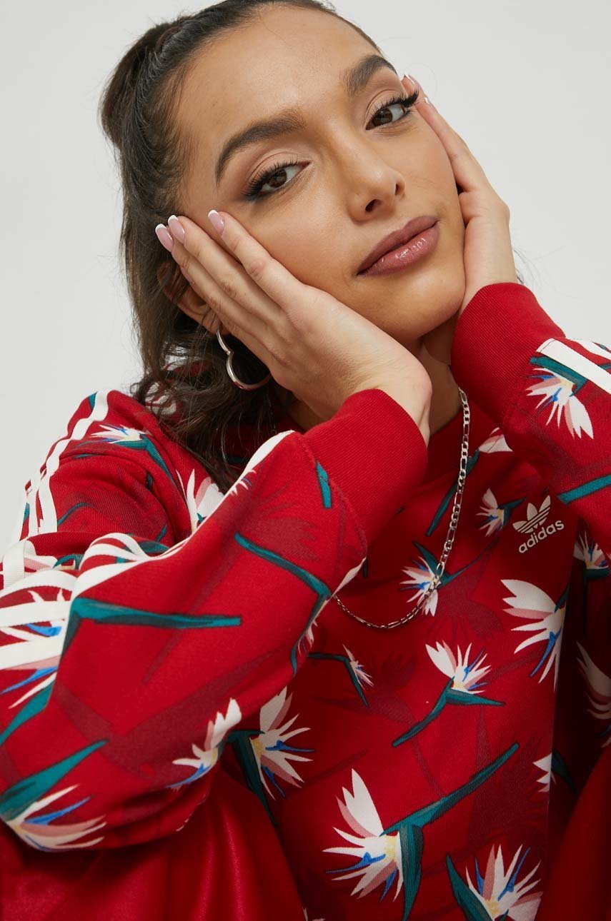 Костюм Gucci adidas костюм женский