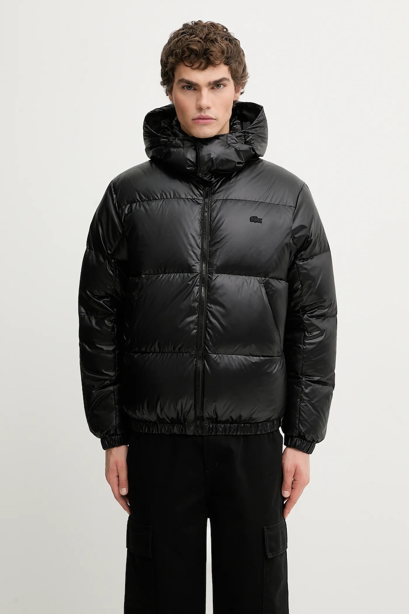 アナーキーベア ブルゾン STUSSY（ステューシー） DOWN PUFFER NYLON