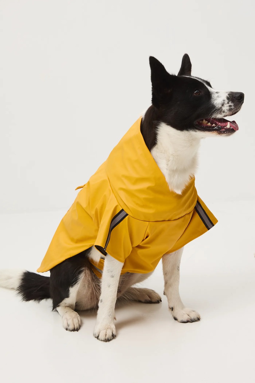 Medicine kurtka dla pupila