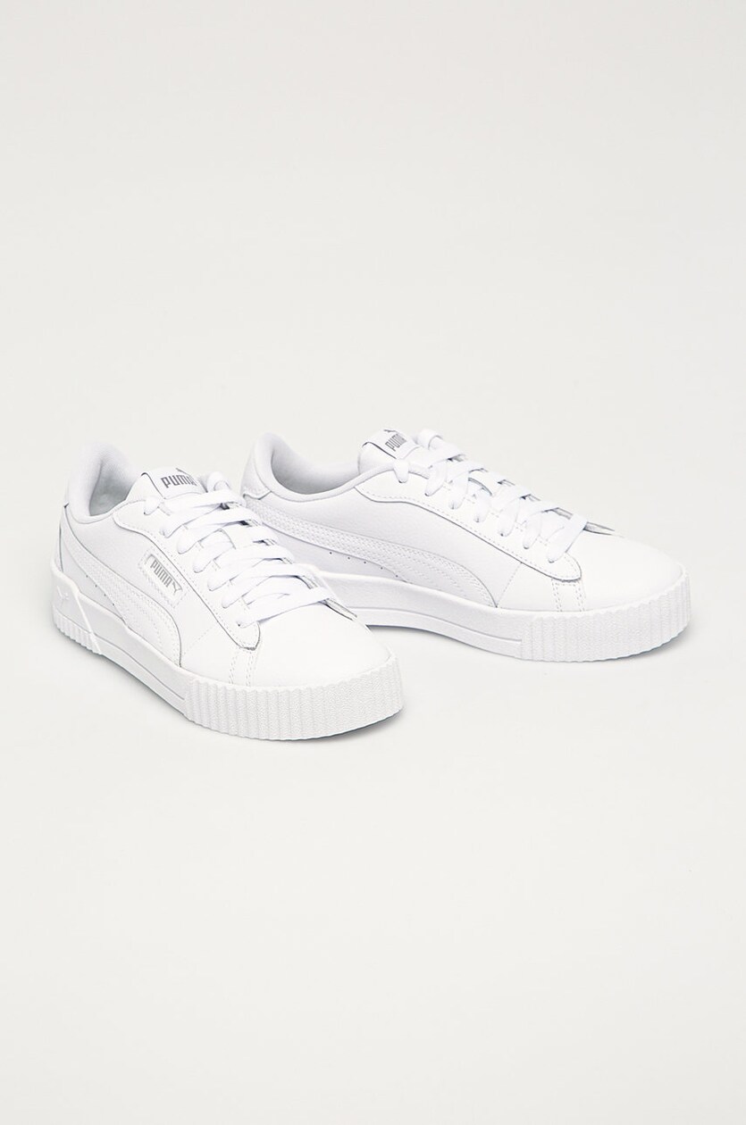 Puma platform ocean top