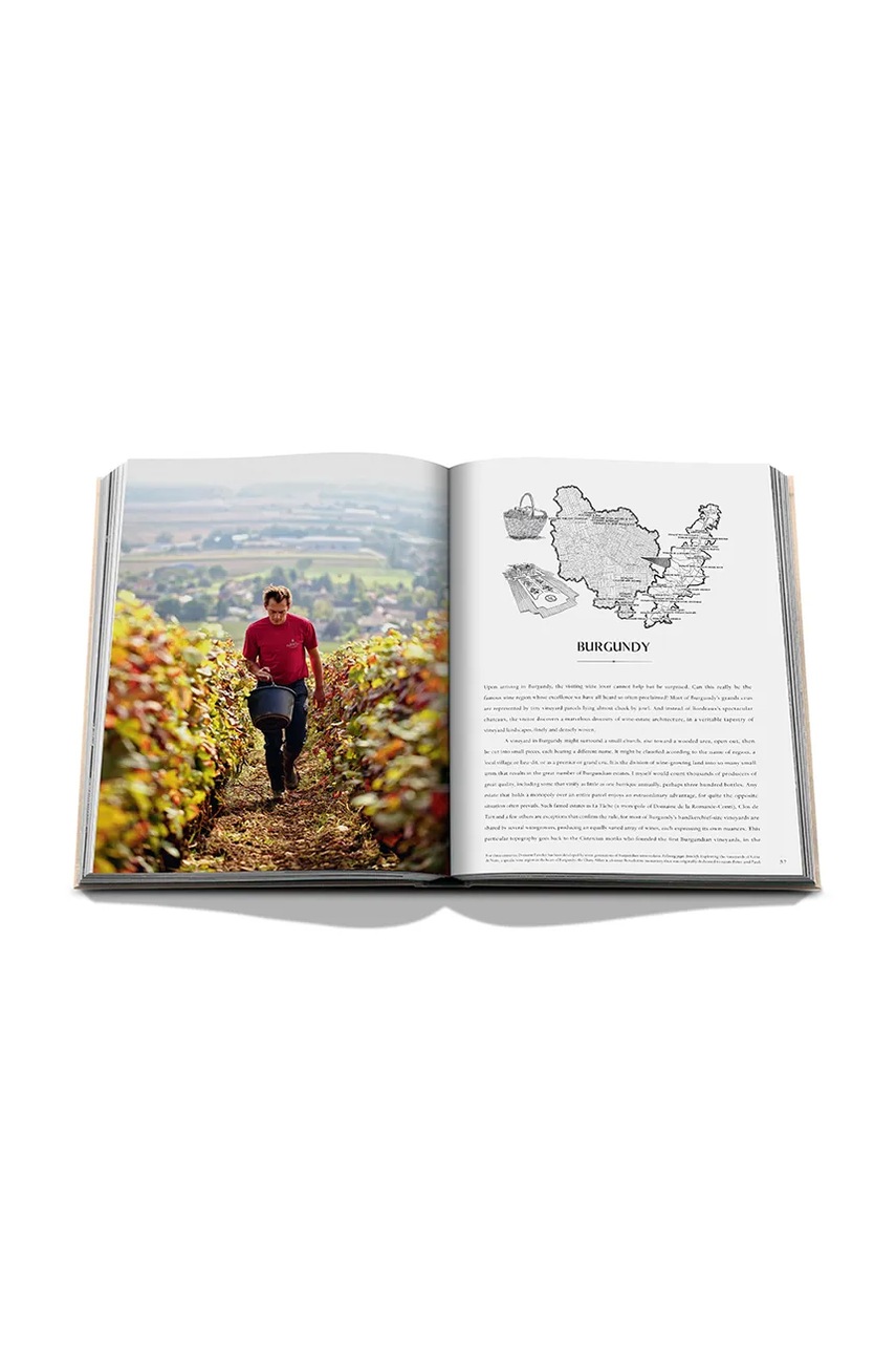 Βιβλίο Assouline Wine & Travel France by Enrico Bernardo, English φωτογραφία