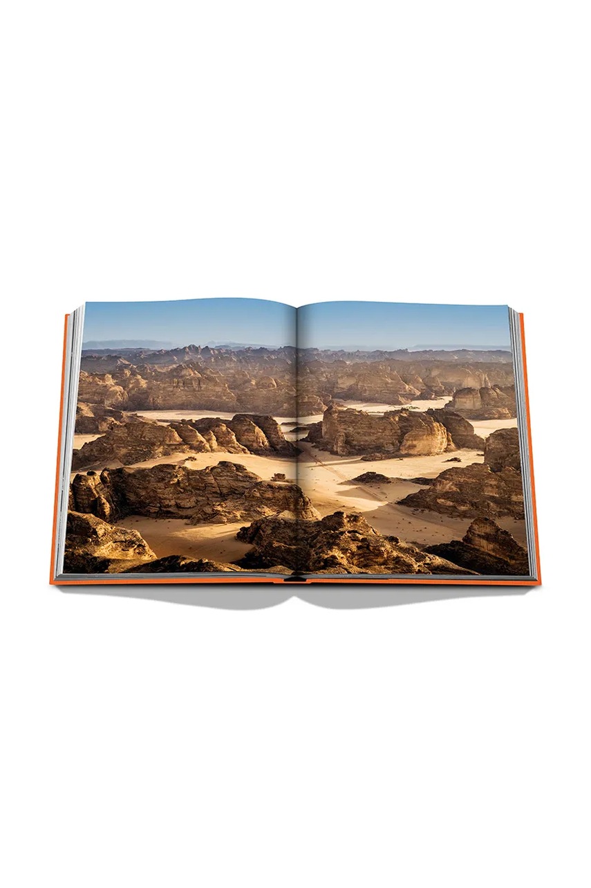 Βιβλίο Assouline Alula Ever by Jerome Garcin, English φωτογραφία