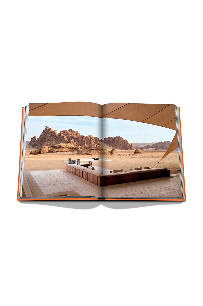 Βιβλίο Assouline Alula Ever by Jerome Garcin, English φωτογραφία