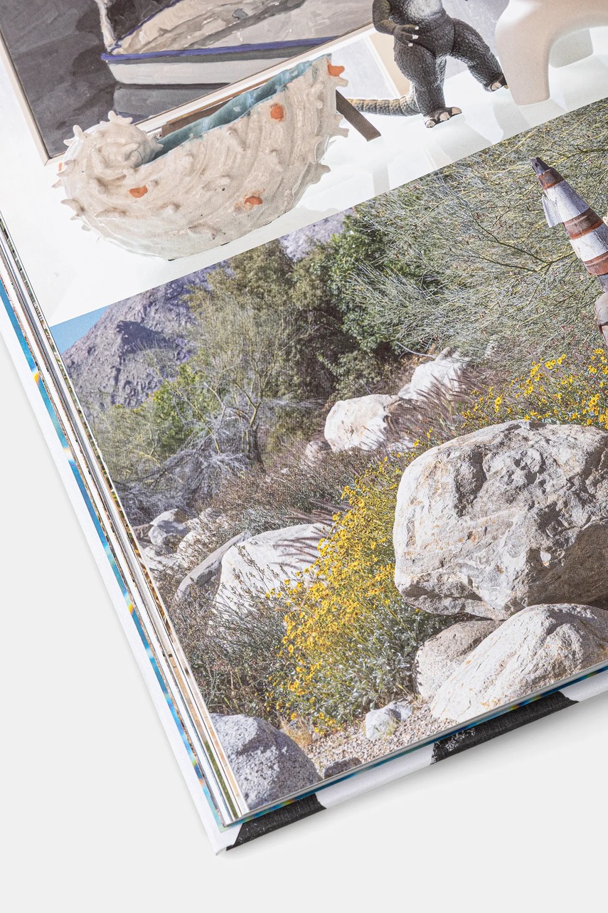 Βιβλίο home & lifestyle Inside Palm Springs by Don Flood, English χρώμα: πολύχρωμο φωτογραφία