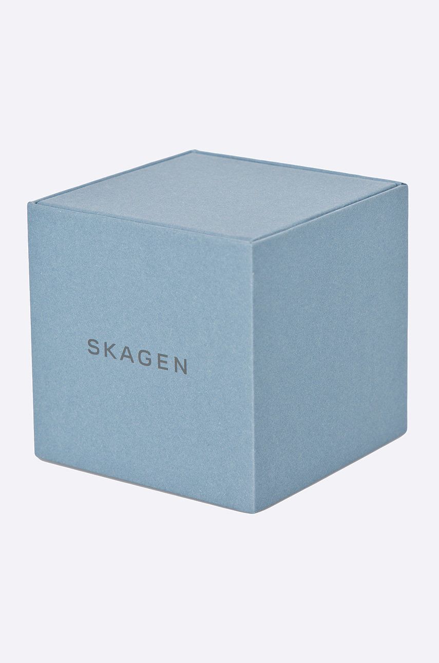 Skagen - Ceas SKW2149