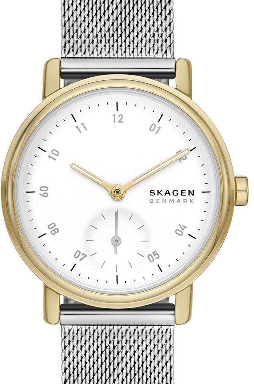 Ρολόι Skagen χρώμα: ασημί φωτογραφία