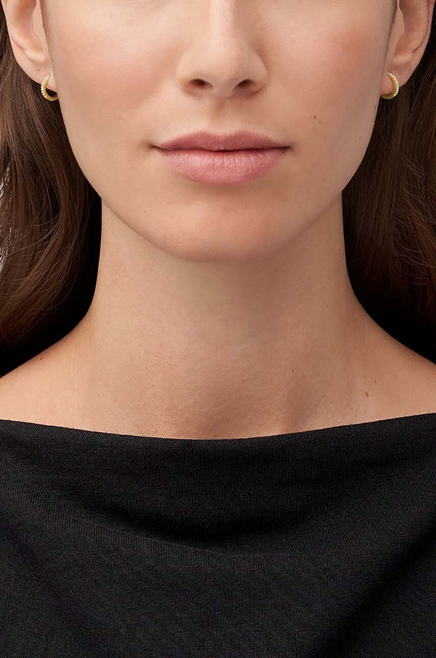 Σκουλαρίκια Fossil φωτογραφία