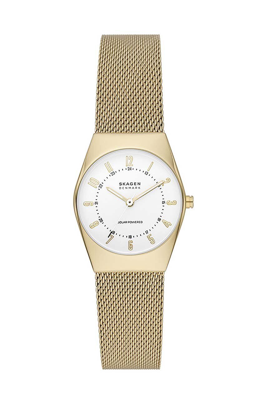 Skagen ceas femei, culoarea auriu Accesorii imagine 2022 crono24.ro