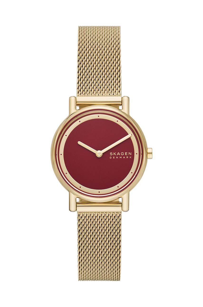 Skagen ceas femei, culoarea auriu Accesorii imagine 2022 crono24.ro
