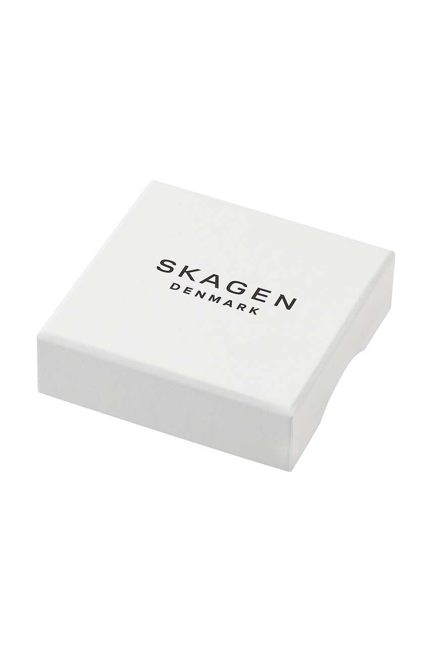 Σκουλαρίκια Skagen φωτογραφία