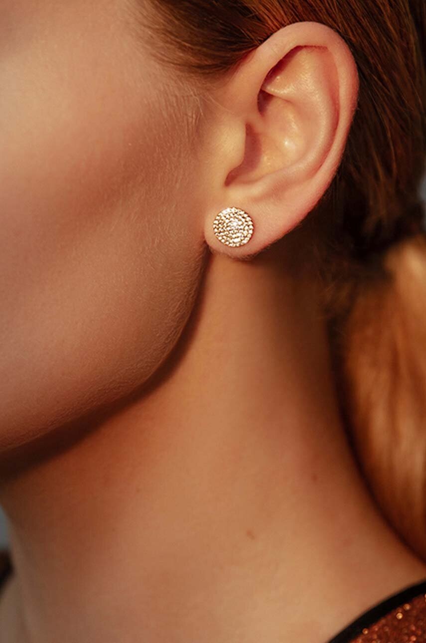 Επιχρυσωμένα σκουλαρίκια Lilou Microsetting φωτογραφία