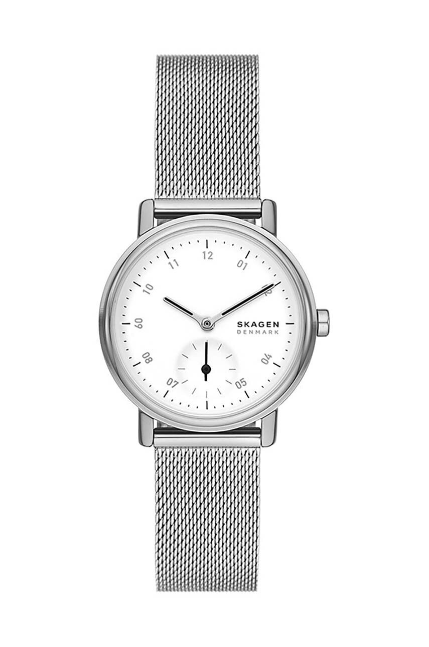 Skagen ceas femei, culoarea argintiu, SKW3100