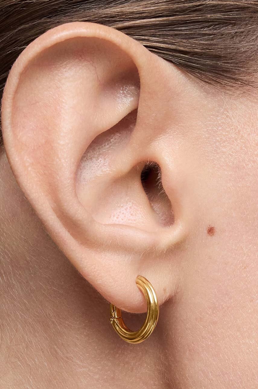 Ασημένια επιχρυσωμένα σκουλαρίκια Tous 1950 1004243500 φωτογραφία