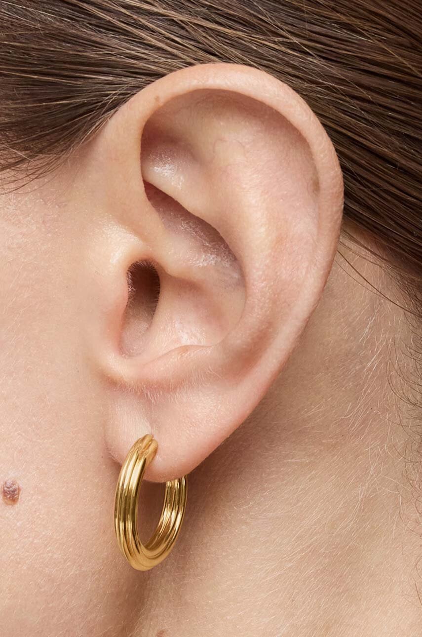 Ασημένια επιχρυσωμένα σκουλαρίκια Tous 1950 1004243600 φωτογραφία