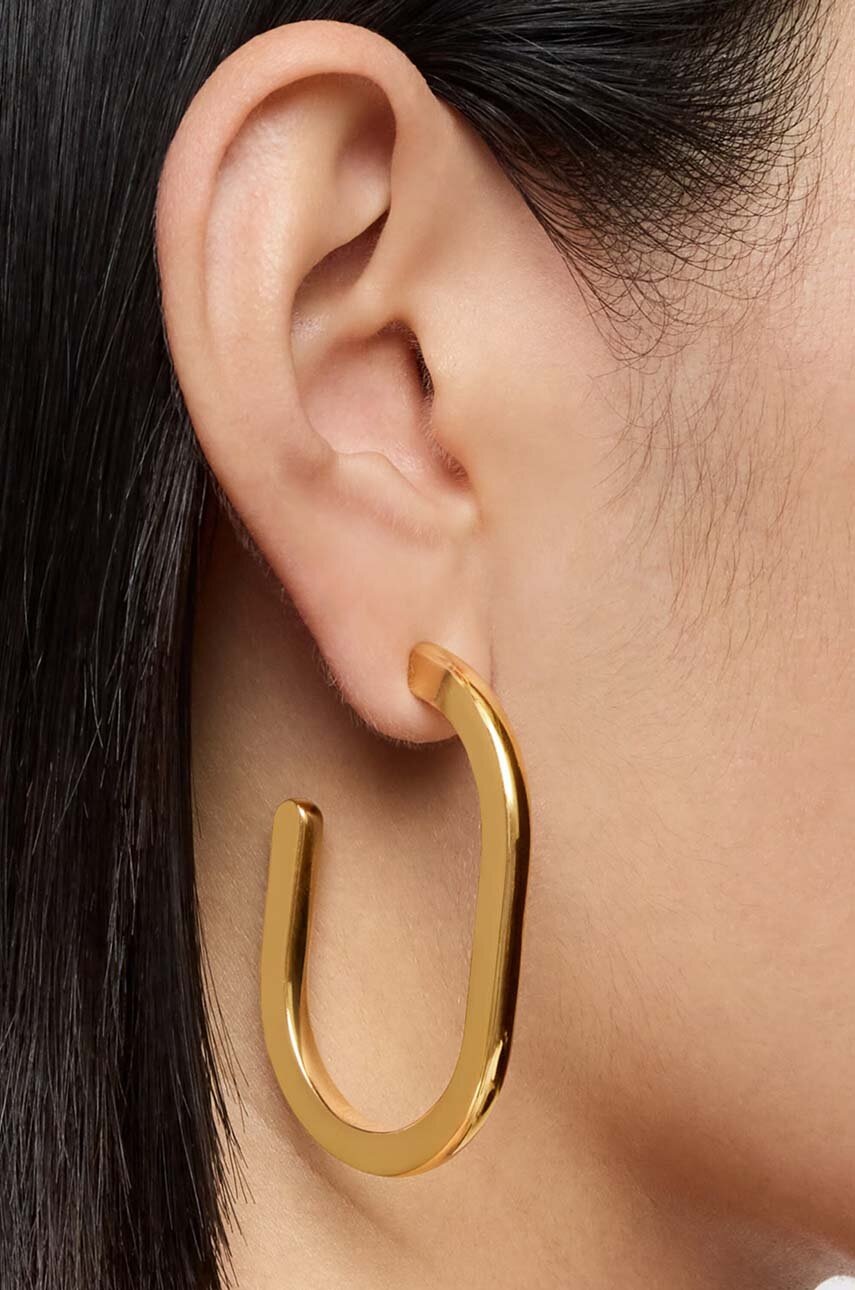 Ασημένια επιχρυσωμένα σκουλαρίκια Tous Line 1004212300 φωτογραφία