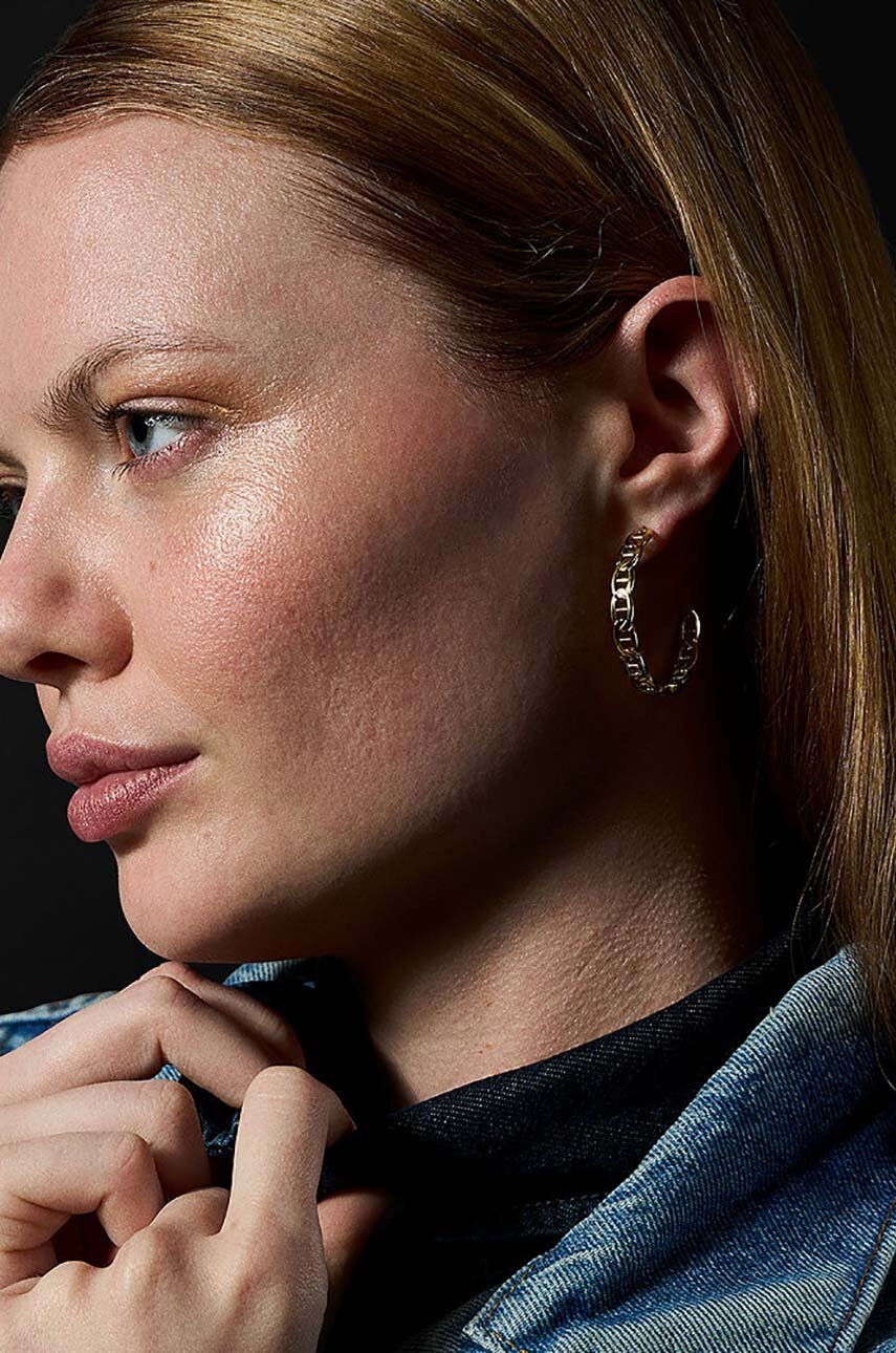 Σκουλαρίκια Fossil JF04781710 φωτογραφία