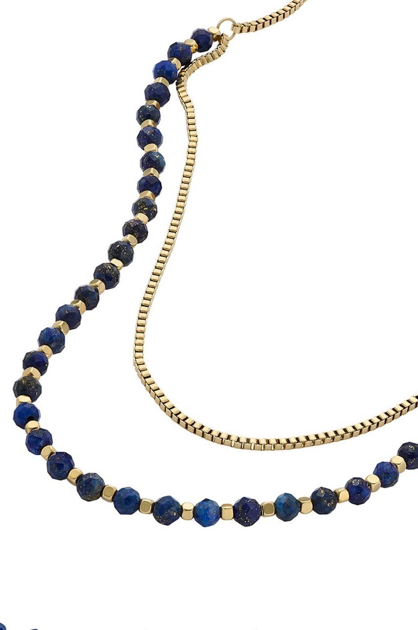 Κολιέ Fossil JA7247710 φωτογραφία