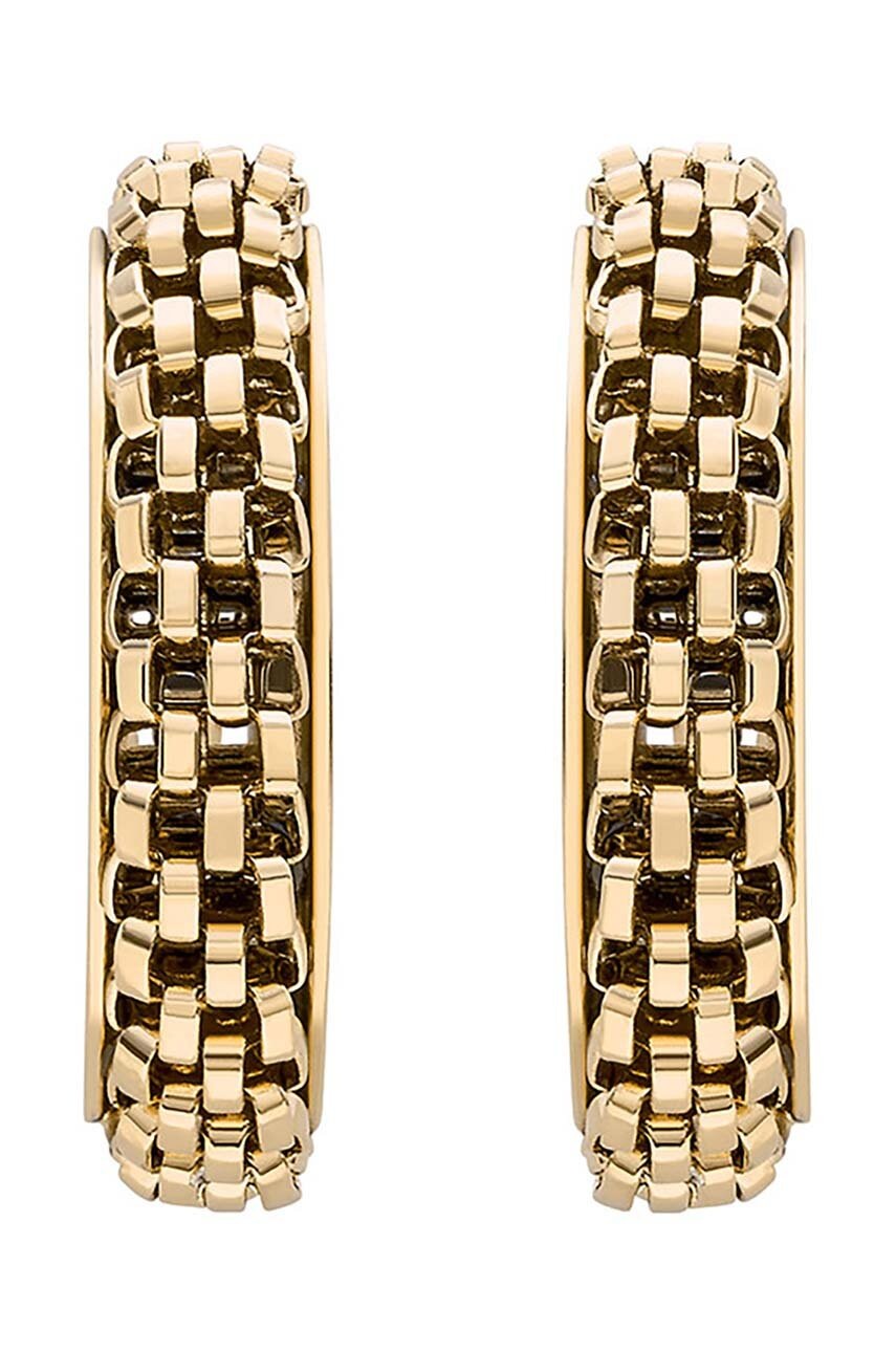 Σκουλαρίκια Skagen SKJ1858710 φωτογραφία