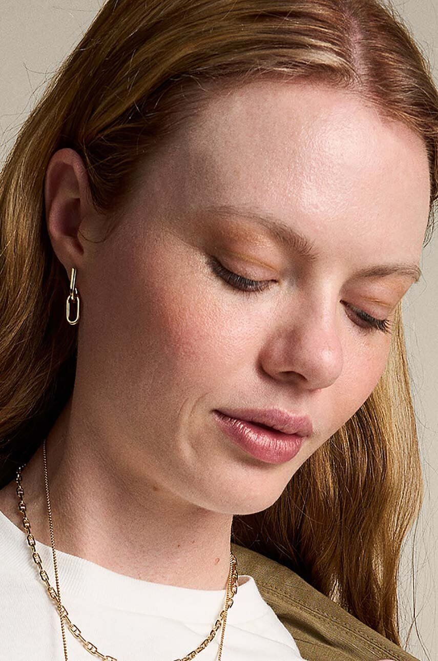 Σκουλαρίκια Fossil JF04780710 φωτογραφία