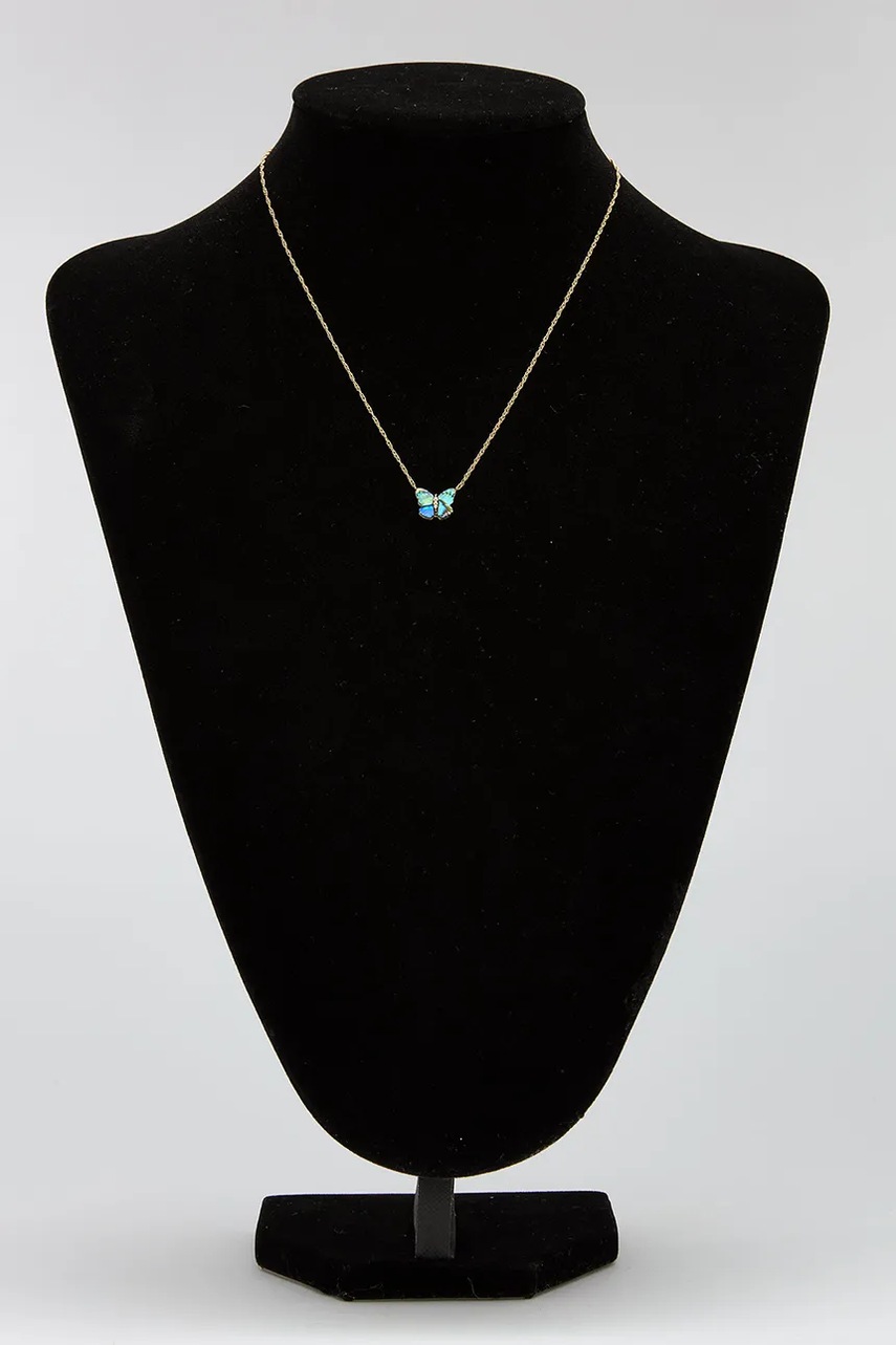 Κολιέ Fossil JF04812710 φωτογραφία